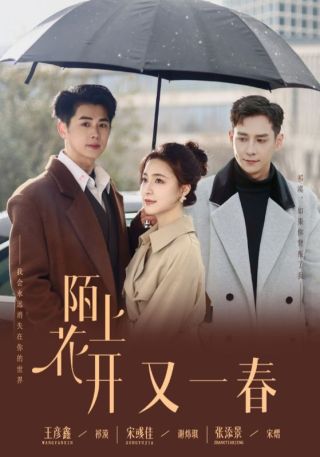 短剧陌上花开又一春海报