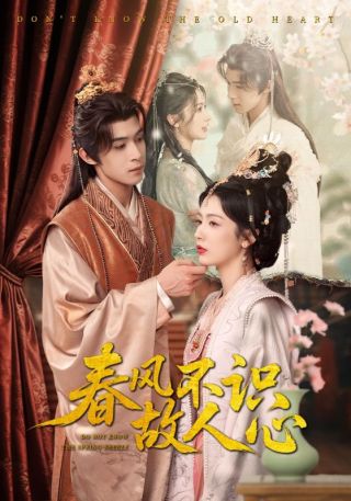 短剧春风不识故人心海报