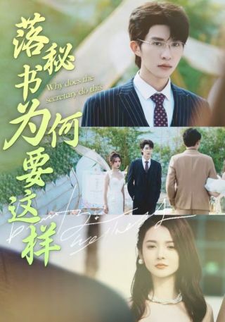 短剧落秘书为何要这样海报