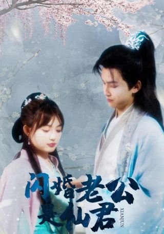 短剧闪婚老公是仙君海报