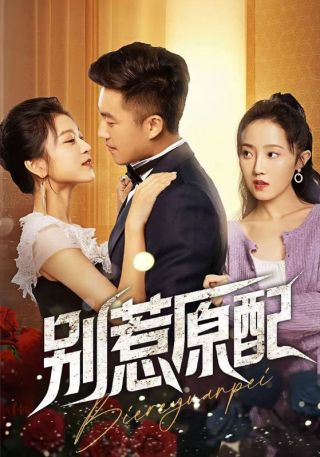 短剧别惹原配海报