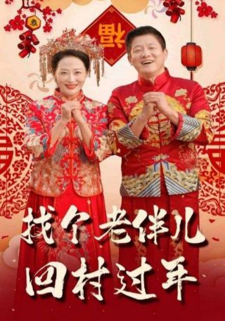 短剧找个老伴儿回村过年海报