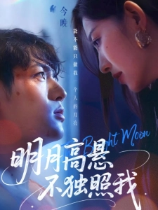 短剧明月高悬不独照我海报