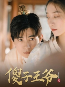 短剧傻子王爷海报