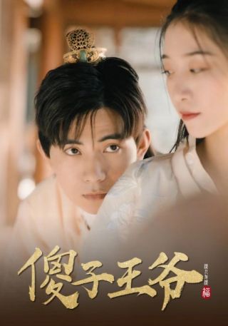 短剧傻子王爷海报