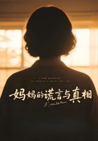 短剧妈妈的谎言与真相海报