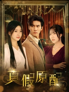 短剧真假原配海报