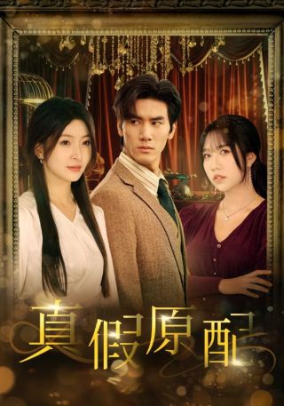 短剧真假原配海报
