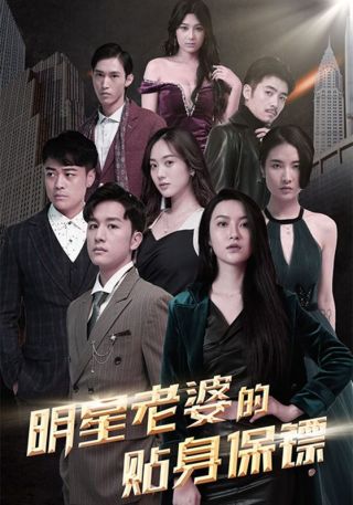 短剧明星老婆的贴身保镖海报