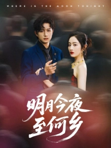 短剧明月今夜至何乡海报