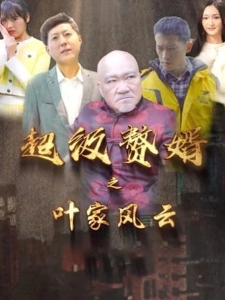 短剧超级赘婿之叶家风云海报