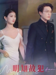 短剧明知故犯海报