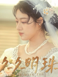 短剧久久明珠海报