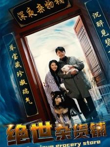 短剧绝世杂货铺海报