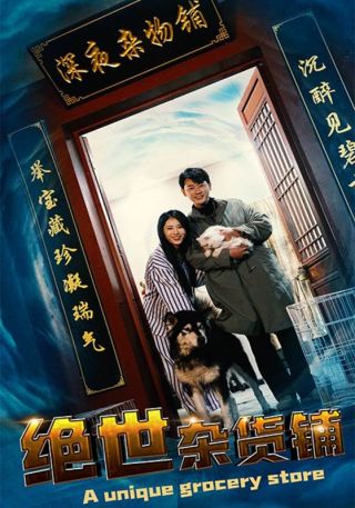 短剧绝世杂货铺海报