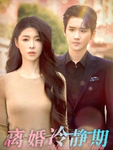 短剧离婚冷静期海报