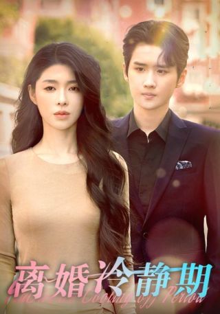 短剧离婚冷静期海报