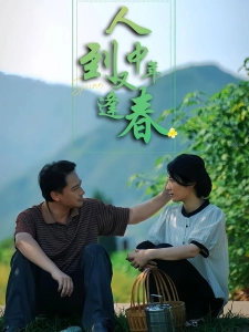 短剧人到中年又逢春海报