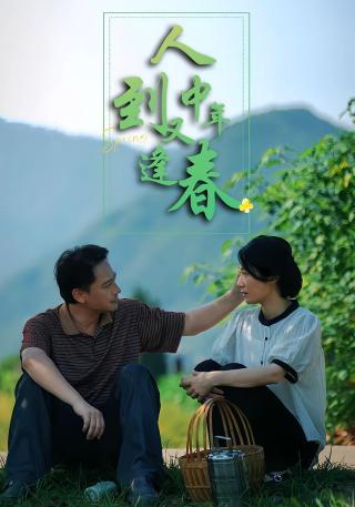 短剧人到中年又逢春海报