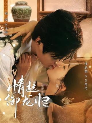 短剧情起御龙归海报