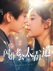 短剧闪婚老公太霸道海报