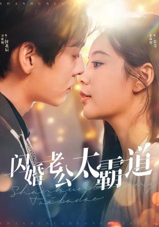 短剧闪婚老公太霸道海报