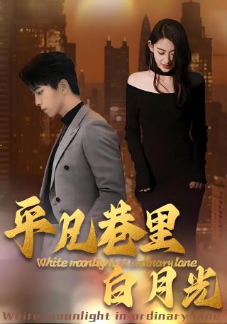 短剧平凡巷里白月光海报