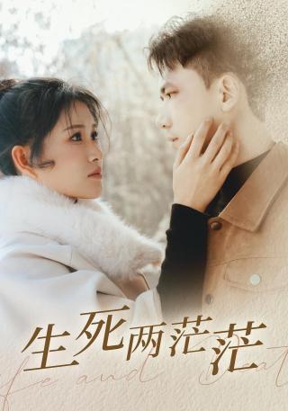 短剧生死两茫茫海报