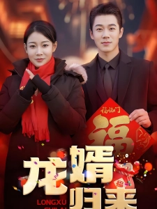 短剧龙婿归来海报