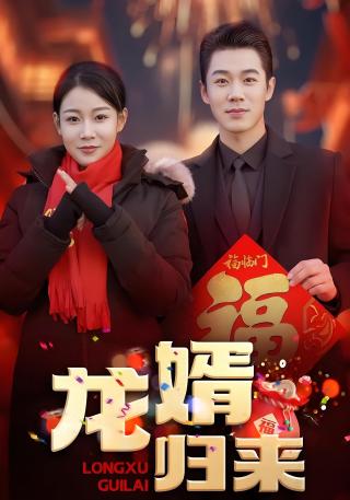 短剧龙婿归来海报