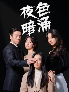 短剧夜色暗涌海报