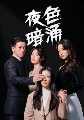 短剧夜色暗涌海报
