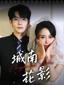 短剧城南花影海报