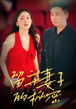 短剧留守妻子的秘密海报