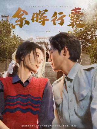 短剧余晖行囊海报