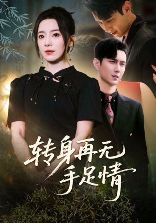 短剧转身再无手足情海报