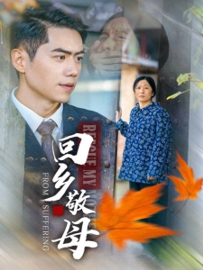 短剧回乡敬母海报