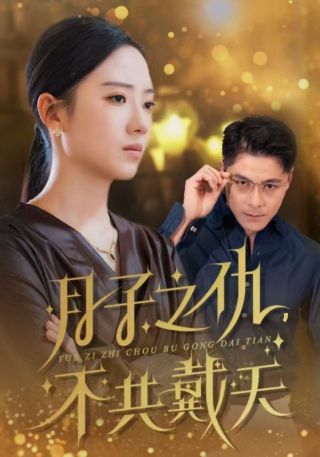 短剧月子之仇，不共戴天海报