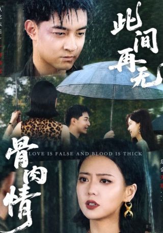 短剧此间再无骨肉情海报