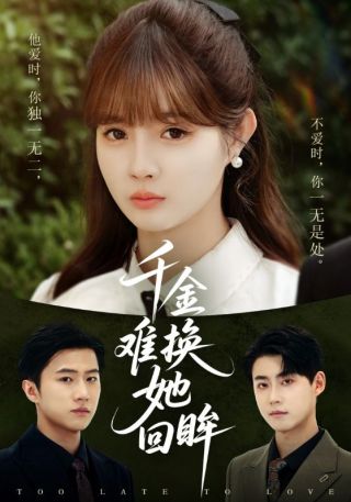 短剧千金难换她回眸海报