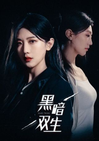 短剧黑暗双生海报