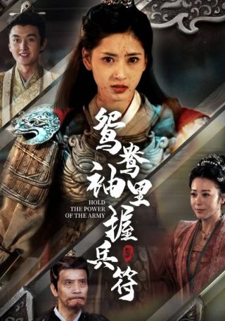 短剧鸳鸯袖里握兵符海报