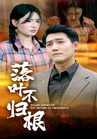 短剧落叶不归根海报