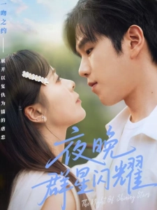 短剧夜晚群星闪耀海报