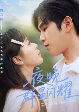短剧夜晚群星闪耀海报