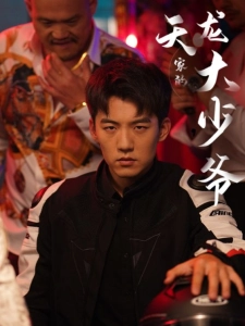 短剧天龙家的大少爷海报