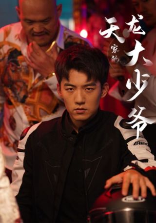 短剧天龙家的大少爷海报