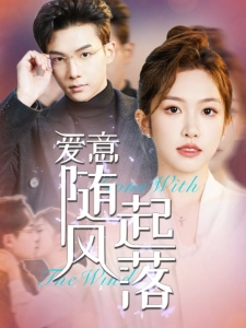 短剧爱意随风起落海报