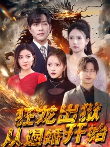 短剧狂龙出狱：从退婚开始海报