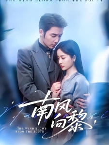 短剧南风向黎海报
